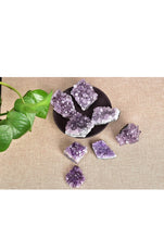 Load image into Gallery viewer, Medium Amethyst Cut Base Clusters, Stunning Crystal Quartz Geodes: 5 - 7 oz (AAA Grade, Amethyst...