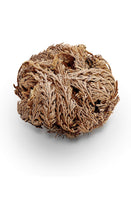 Load image into Gallery viewer, Rose of Jericho