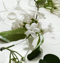 Load image into Gallery viewer, Heavy Cream body mist