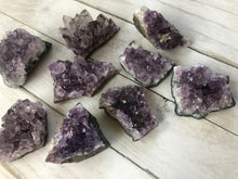 Load image into Gallery viewer, Medium Amethyst Cut Base Clusters, Stunning Crystal Quartz Geodes: 5 - 7 oz (AAA Grade, Amethyst...