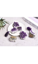 Load image into Gallery viewer, Medium Amethyst Cut Base Clusters, Stunning Crystal Quartz Geodes: 5 - 7 oz (AAA Grade, Amethyst...
