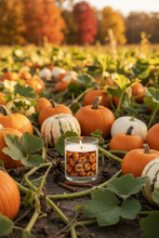 Load image into Gallery viewer, Pumpkin spice 8oz fall candle
